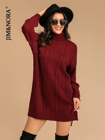 JIM & NORA Women Winter Long Sleeve Loose Turtleneck Christmas Knit Midi Dresses Ladies Christmas Print Xmas Party Wear